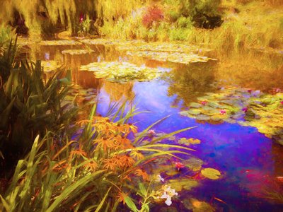 Giverny Waterlilies by Helen White